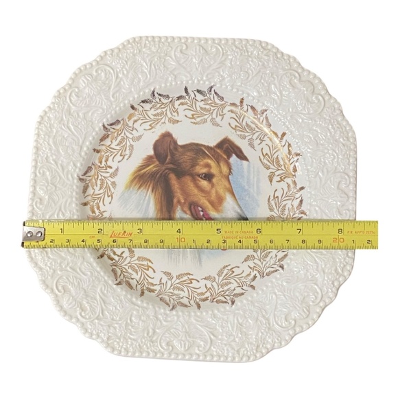 Vintage Lord Nelson Pottery Collie Plate. Made in England - Picture 3 of 9